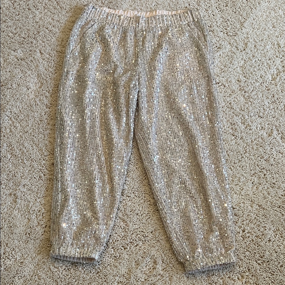 LOFT Women’s PM Silver Sequin Joggers
